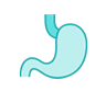 Stomach