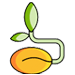 Seed Supply